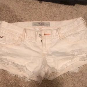 Hollister shorts